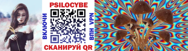 Галлюциногенные грибы Cubensis  Кремёнки 
